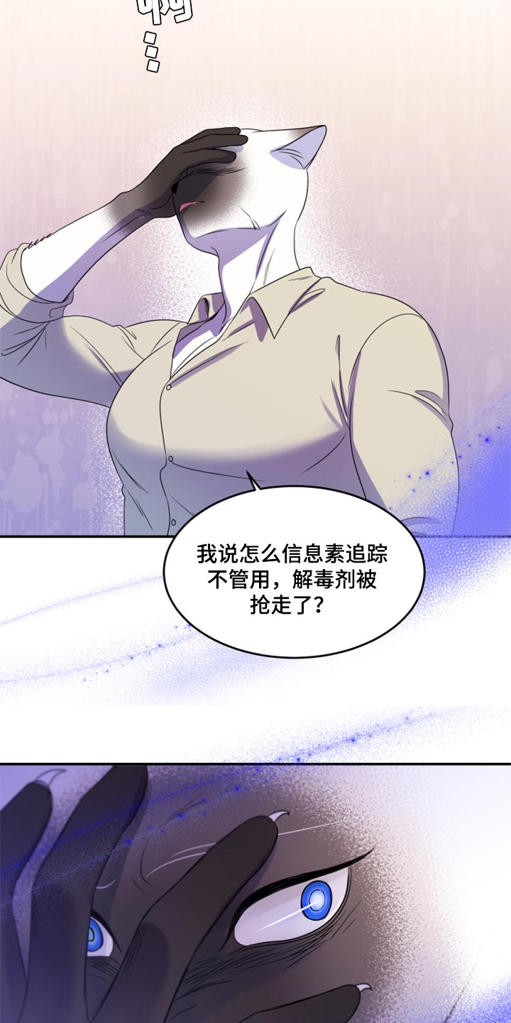 《灵猫欧米伽》漫画最新章节第56章：【第二季】人工阿尔法免费下拉式在线观看章节第【7】张图片