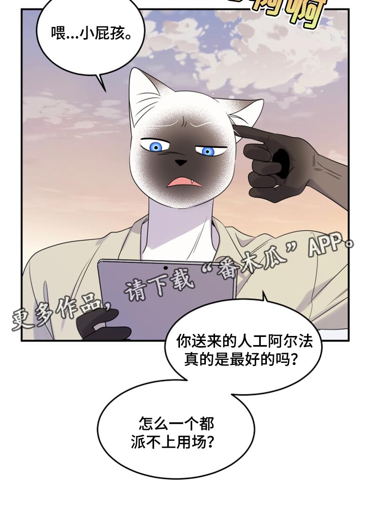 《灵猫欧米伽》漫画最新章节第56章：【第二季】人工阿尔法免费下拉式在线观看章节第【1】张图片