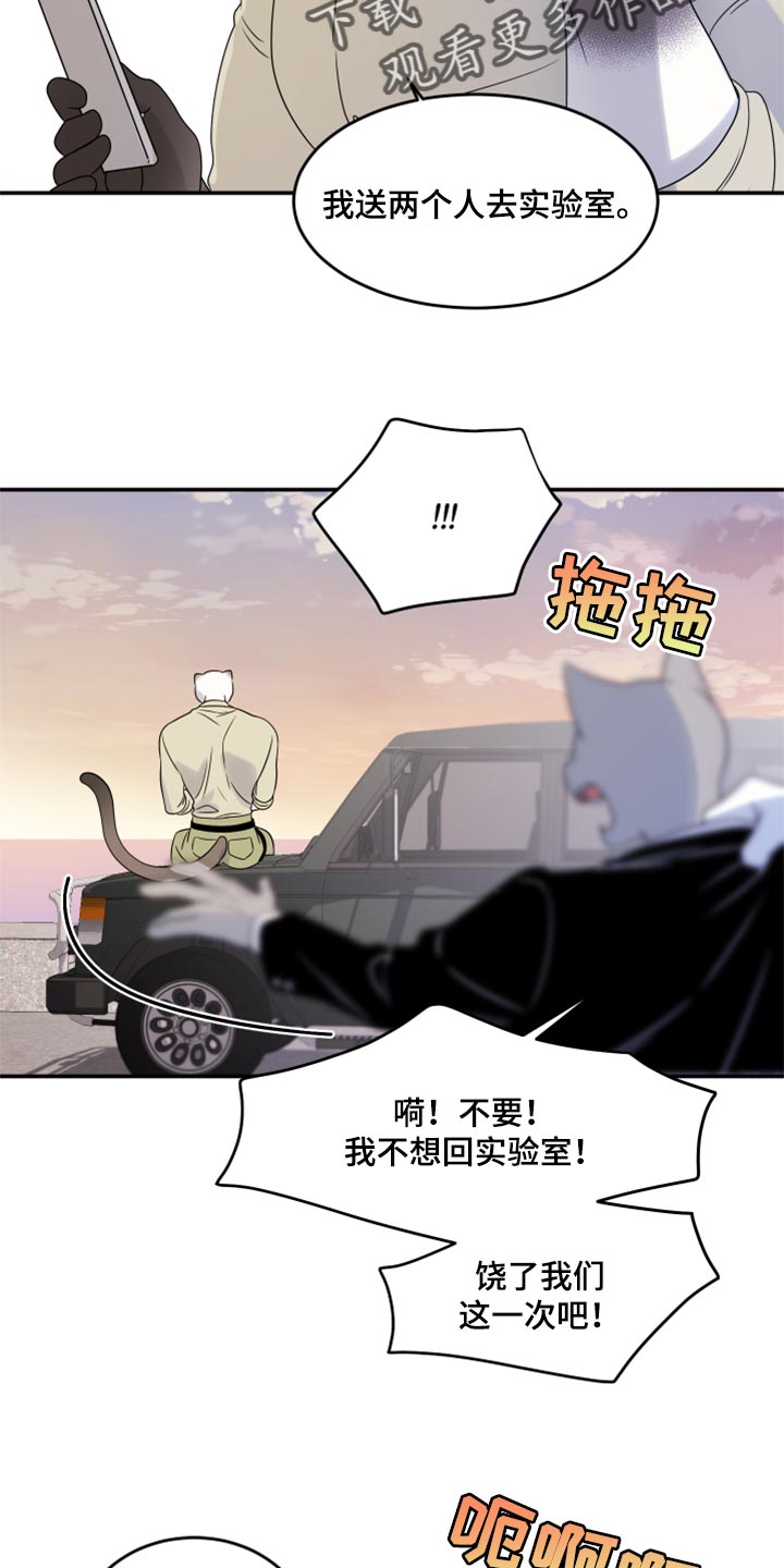 《灵猫欧米伽》漫画最新章节第56章：【第二季】人工阿尔法免费下拉式在线观看章节第【2】张图片