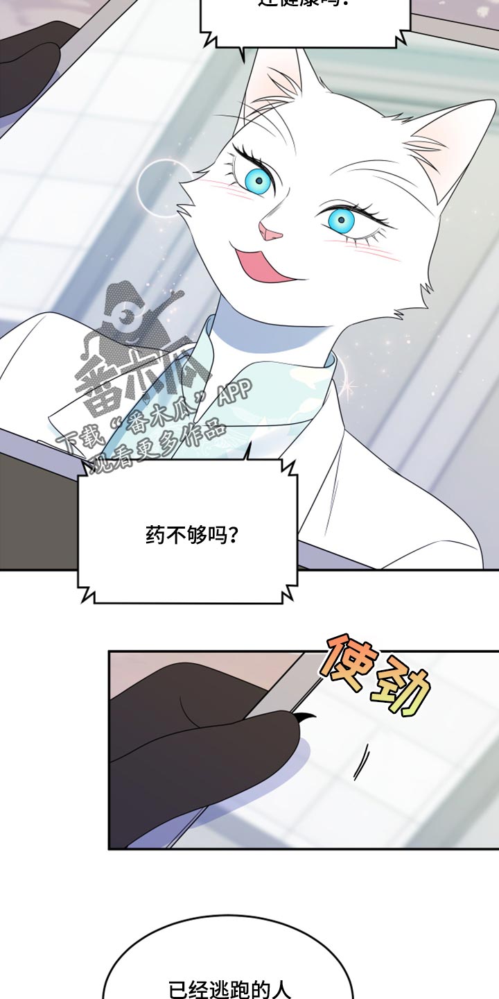 《灵猫欧米伽》漫画最新章节第57章：【第二季】新来的免费下拉式在线观看章节第【10】张图片