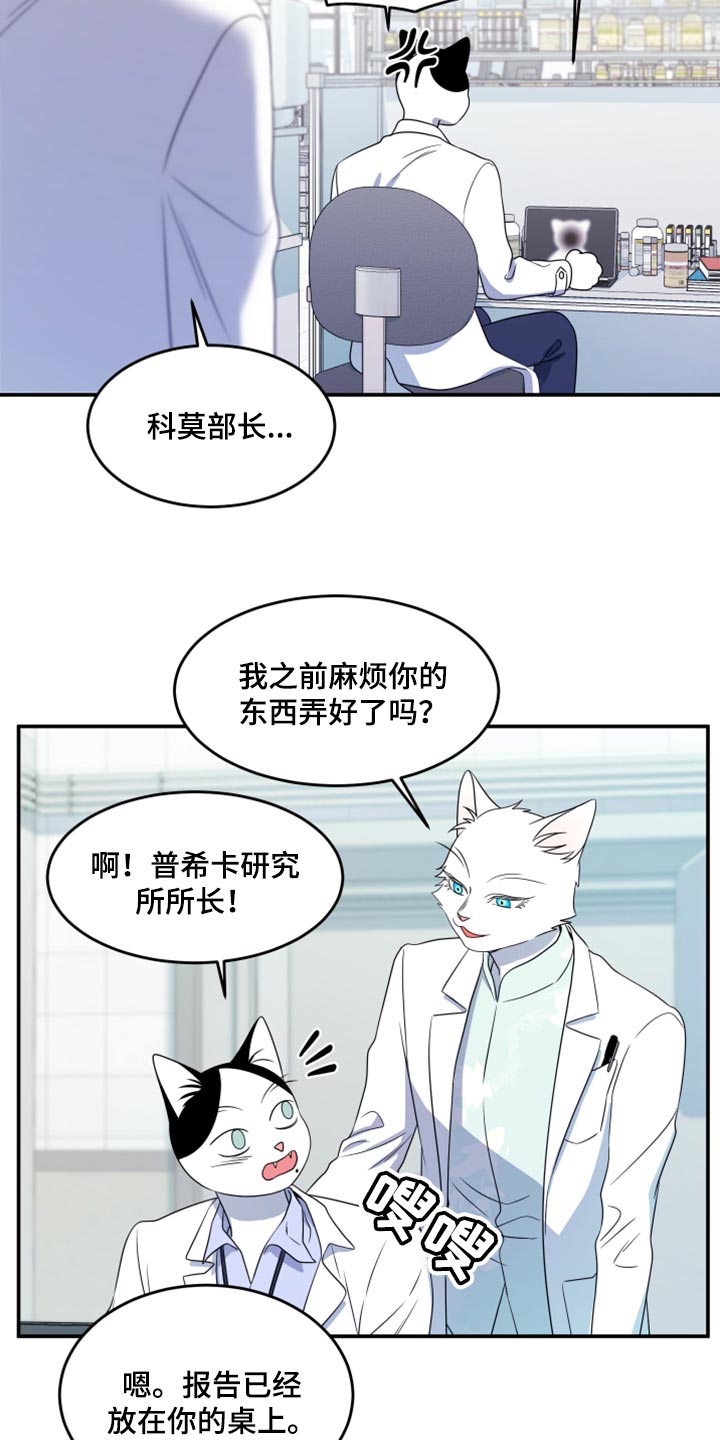 《灵猫欧米伽》漫画最新章节第57章：【第二季】新来的免费下拉式在线观看章节第【15】张图片