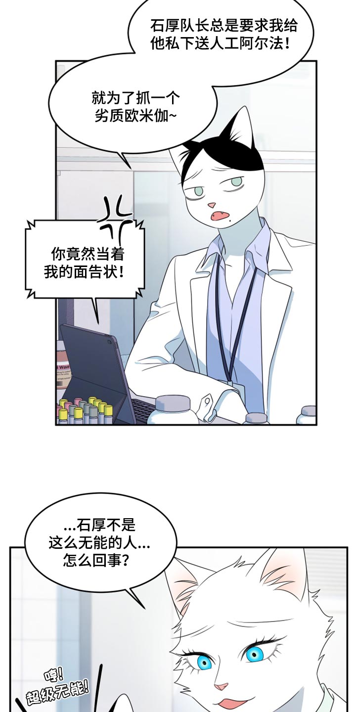 《灵猫欧米伽》漫画最新章节第57章：【第二季】新来的免费下拉式在线观看章节第【13】张图片