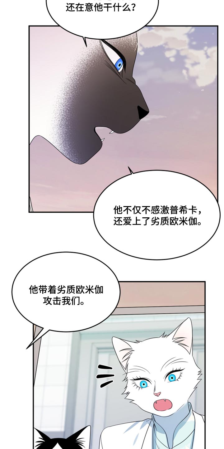 《灵猫欧米伽》漫画最新章节第57章：【第二季】新来的免费下拉式在线观看章节第【9】张图片