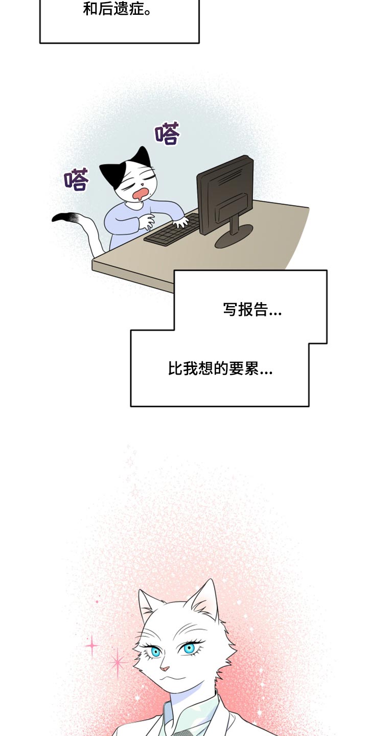 《灵猫欧米伽》漫画最新章节第57章：【第二季】新来的免费下拉式在线观看章节第【19】张图片