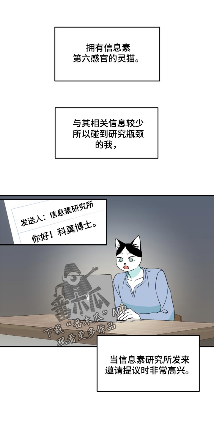 《灵猫欧米伽》漫画最新章节第57章：【第二季】新来的免费下拉式在线观看章节第【21】张图片