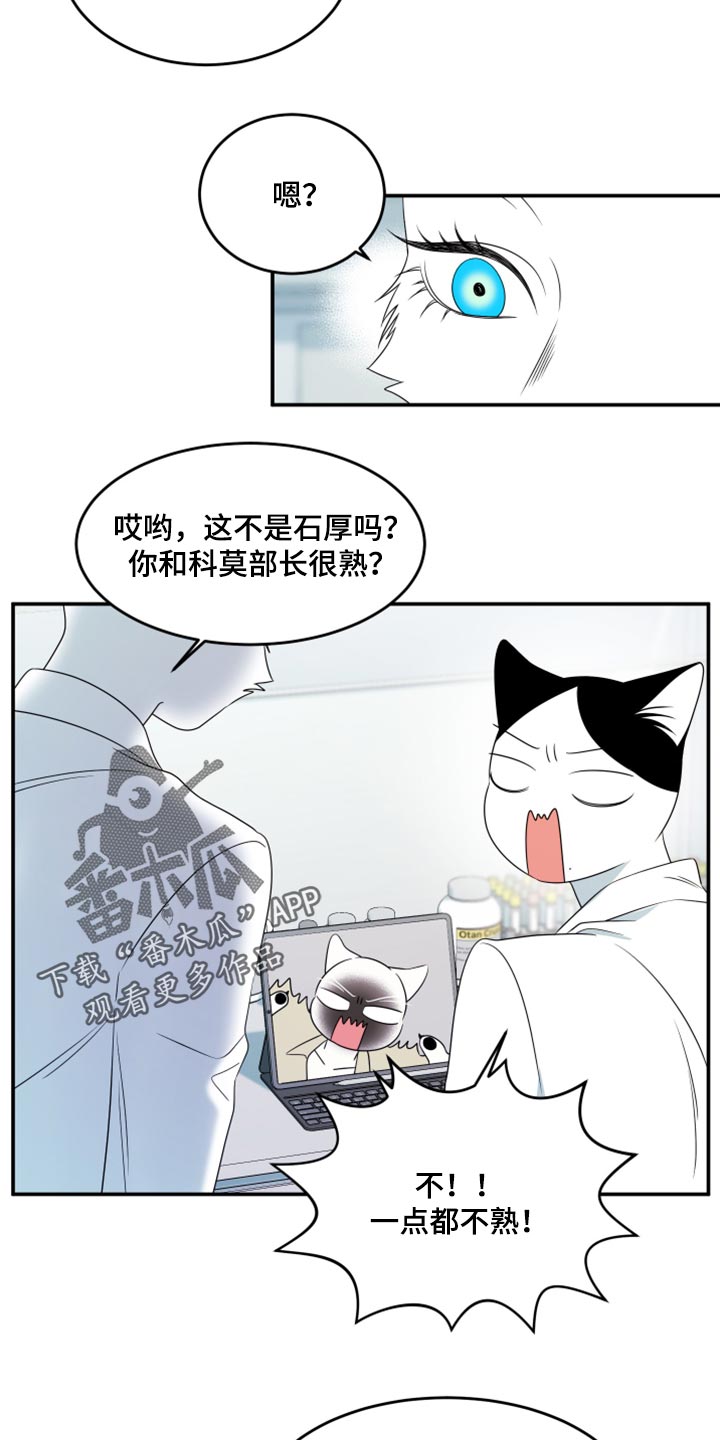 《灵猫欧米伽》漫画最新章节第57章：【第二季】新来的免费下拉式在线观看章节第【14】张图片