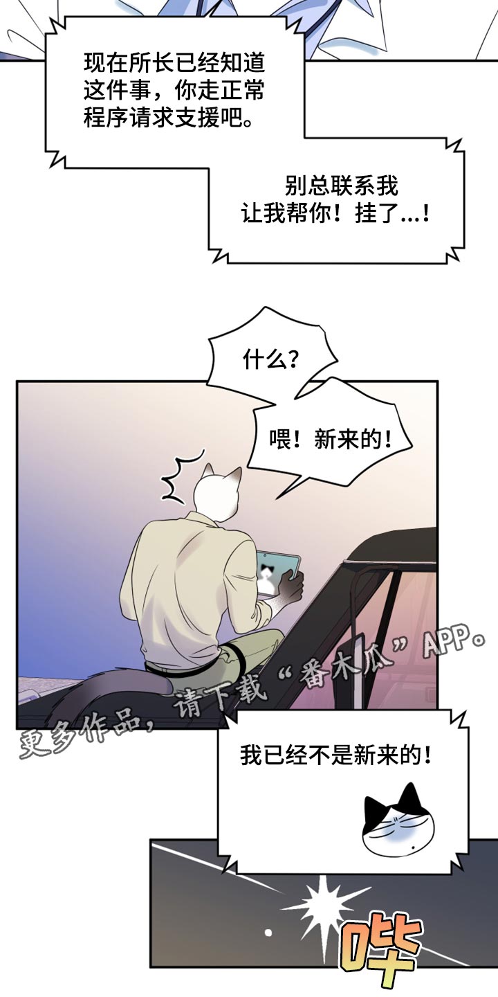 《灵猫欧米伽》漫画最新章节第57章：【第二季】新来的免费下拉式在线观看章节第【2】张图片