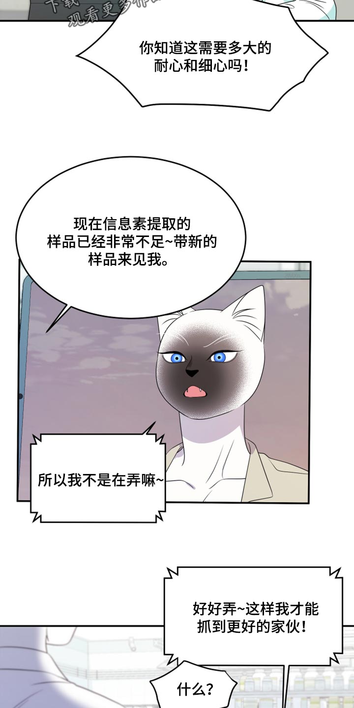 《灵猫欧米伽》漫画最新章节第57章：【第二季】新来的免费下拉式在线观看章节第【16】张图片