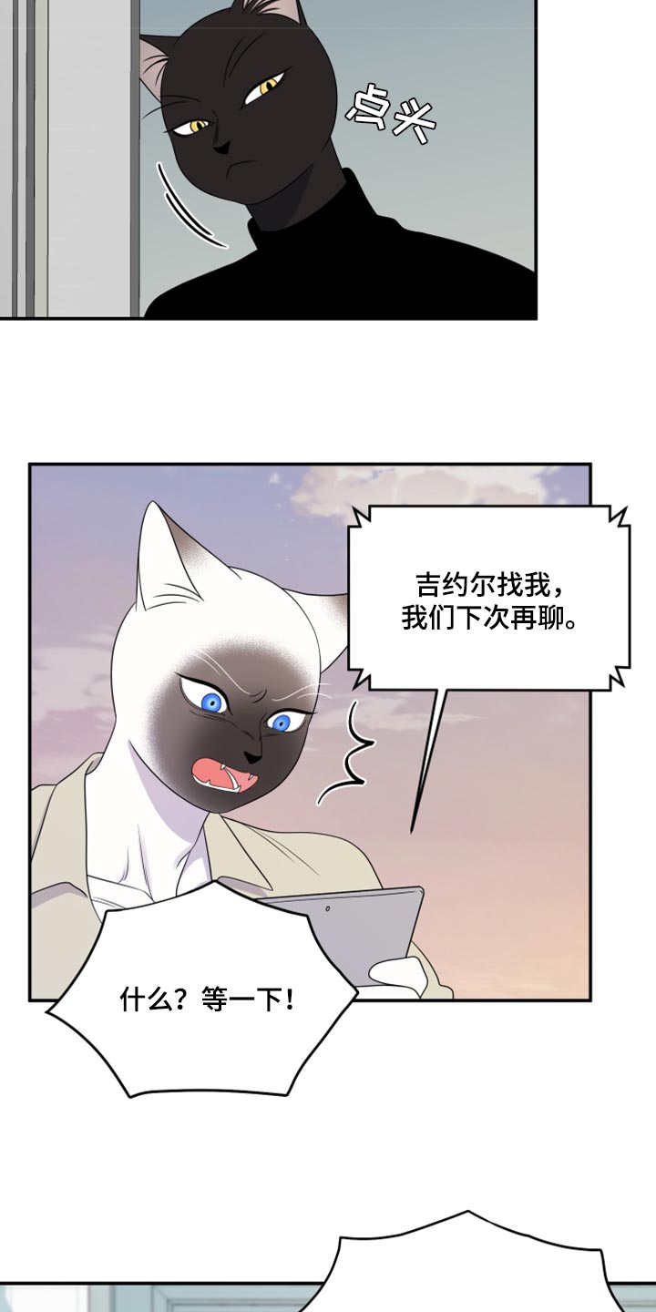 《灵猫欧米伽》漫画最新章节第57章：【第二季】新来的免费下拉式在线观看章节第【4】张图片