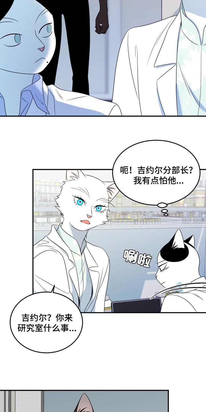 《灵猫欧米伽》漫画最新章节第57章：【第二季】新来的免费下拉式在线观看章节第【5】张图片