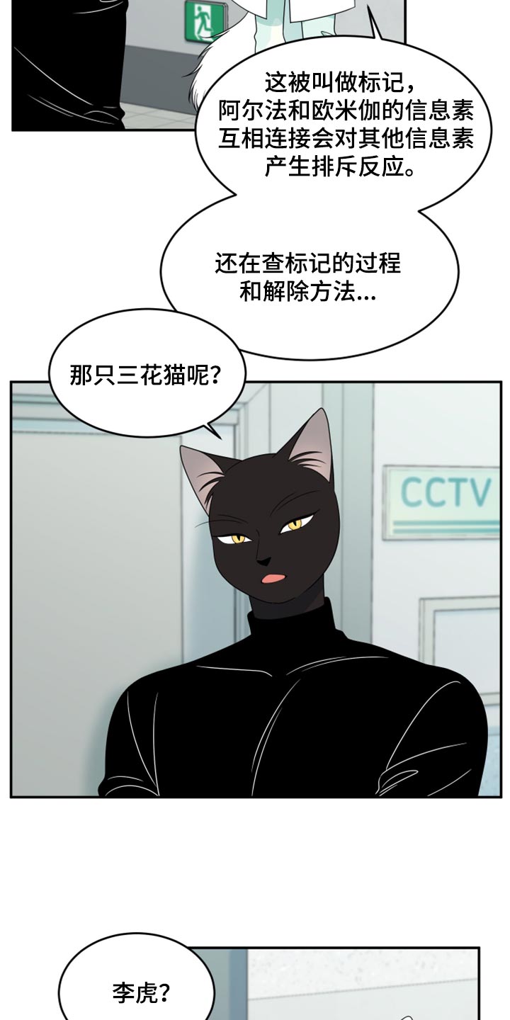 《灵猫欧米伽》漫画最新章节第58章：【第二季】总有一天会回来免费下拉式在线观看章节第【18】张图片