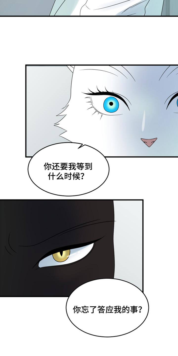 《灵猫欧米伽》漫画最新章节第58章：【第二季】总有一天会回来免费下拉式在线观看章节第【15】张图片