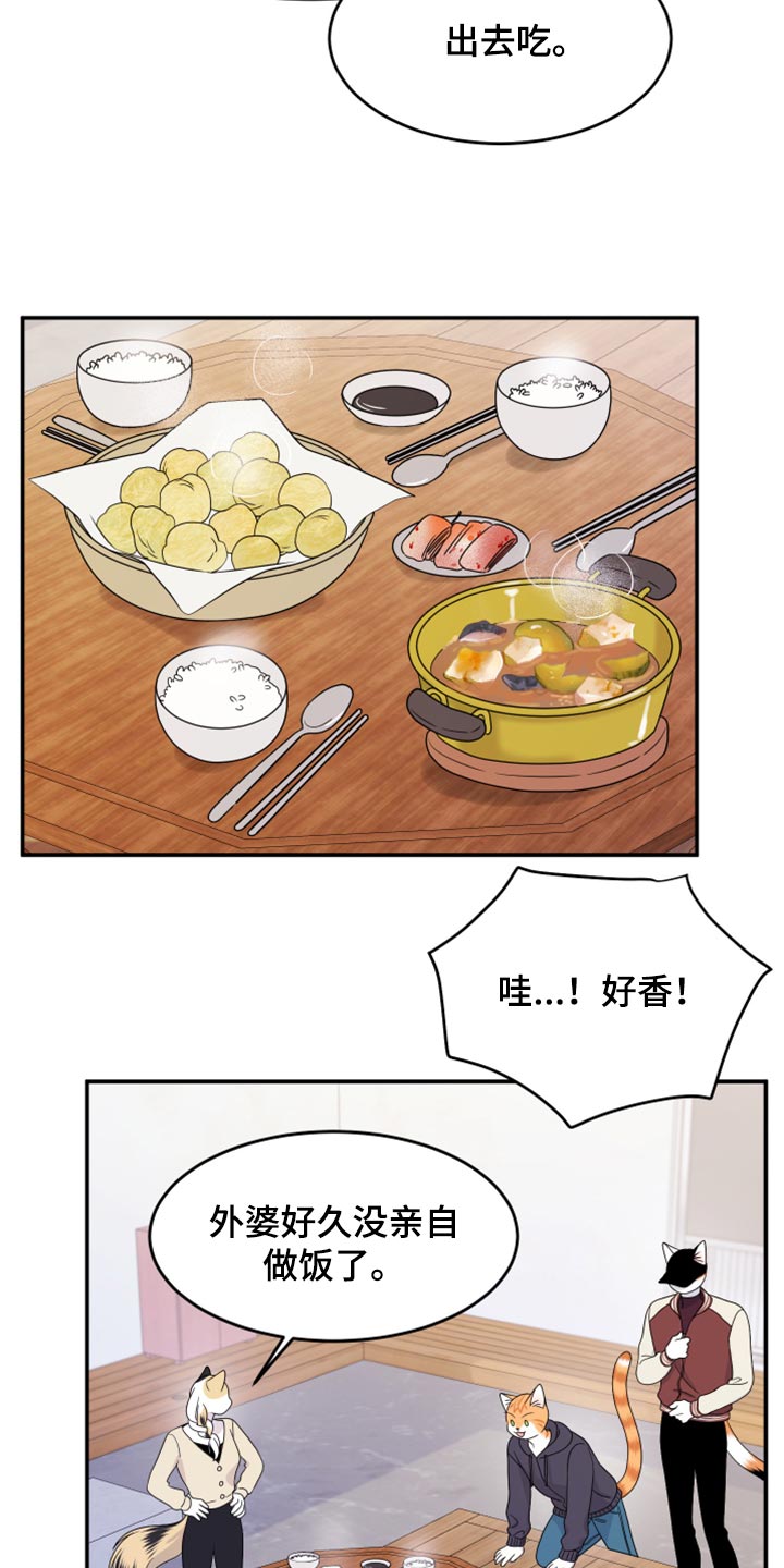 《灵猫欧米伽》漫画最新章节第58章：【第二季】总有一天会回来免费下拉式在线观看章节第【4】张图片