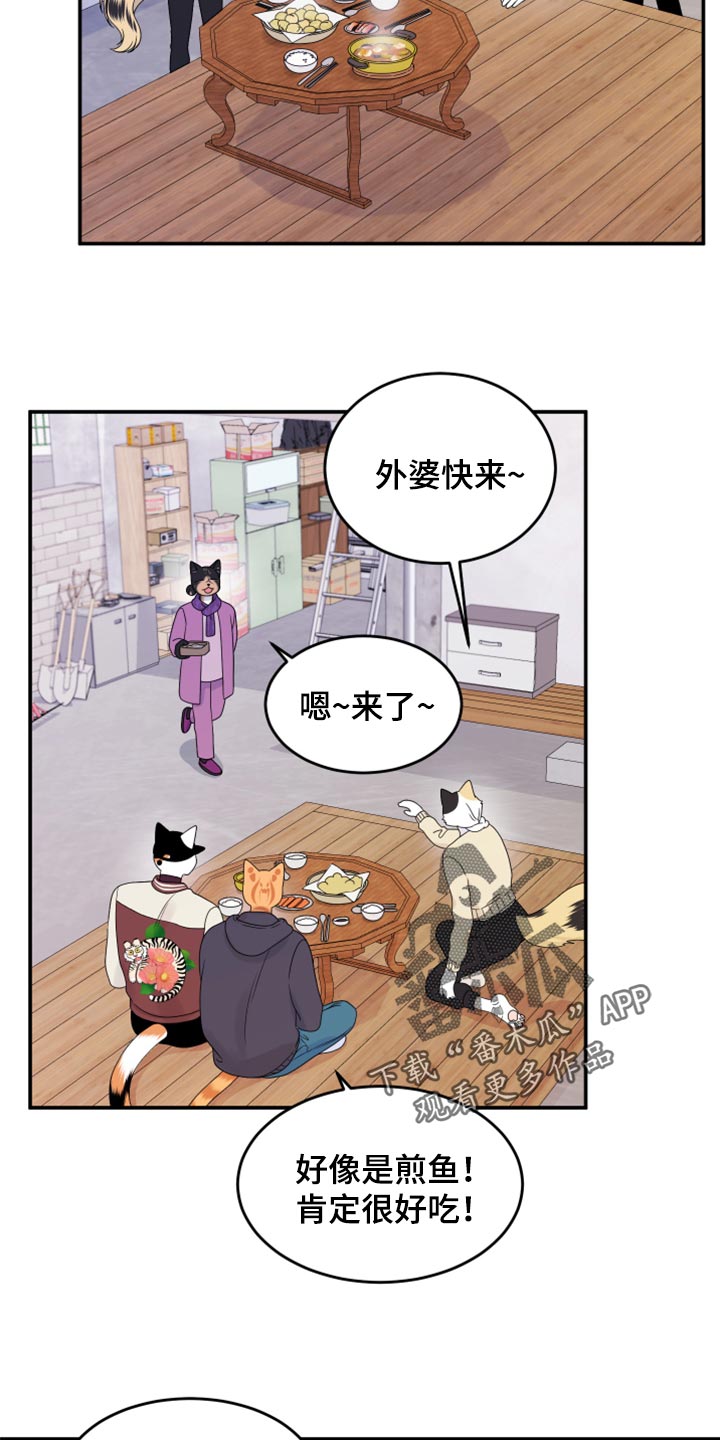 《灵猫欧米伽》漫画最新章节第58章：【第二季】总有一天会回来免费下拉式在线观看章节第【3】张图片