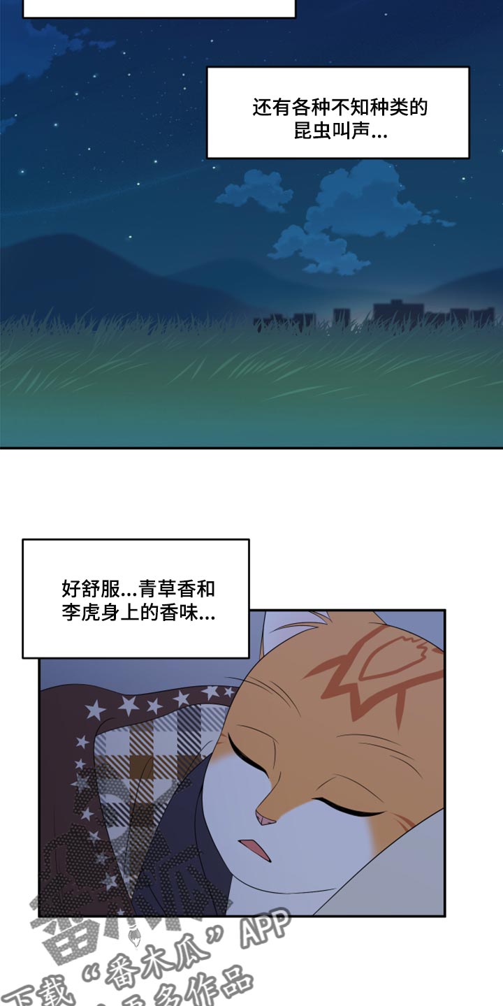 《灵猫欧米伽》漫画最新章节第59章：【第二季】离开免费下拉式在线观看章节第【2】张图片