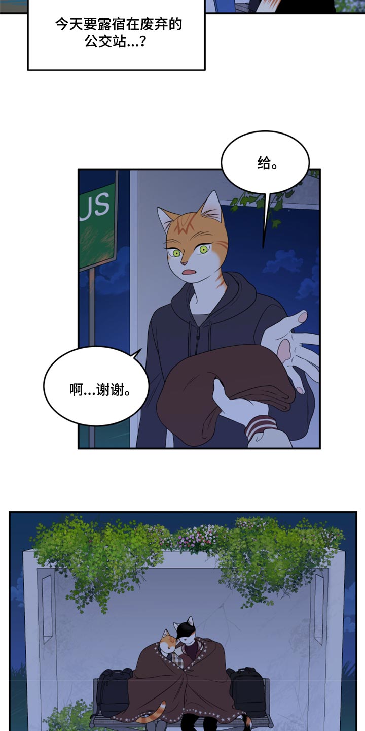 《灵猫欧米伽》漫画最新章节第59章：【第二季】离开免费下拉式在线观看章节第【5】张图片