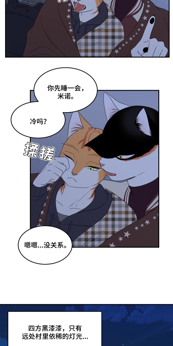 《灵猫欧米伽》漫画最新章节第59章：【第二季】离开免费下拉式在线观看章节第【3】张图片