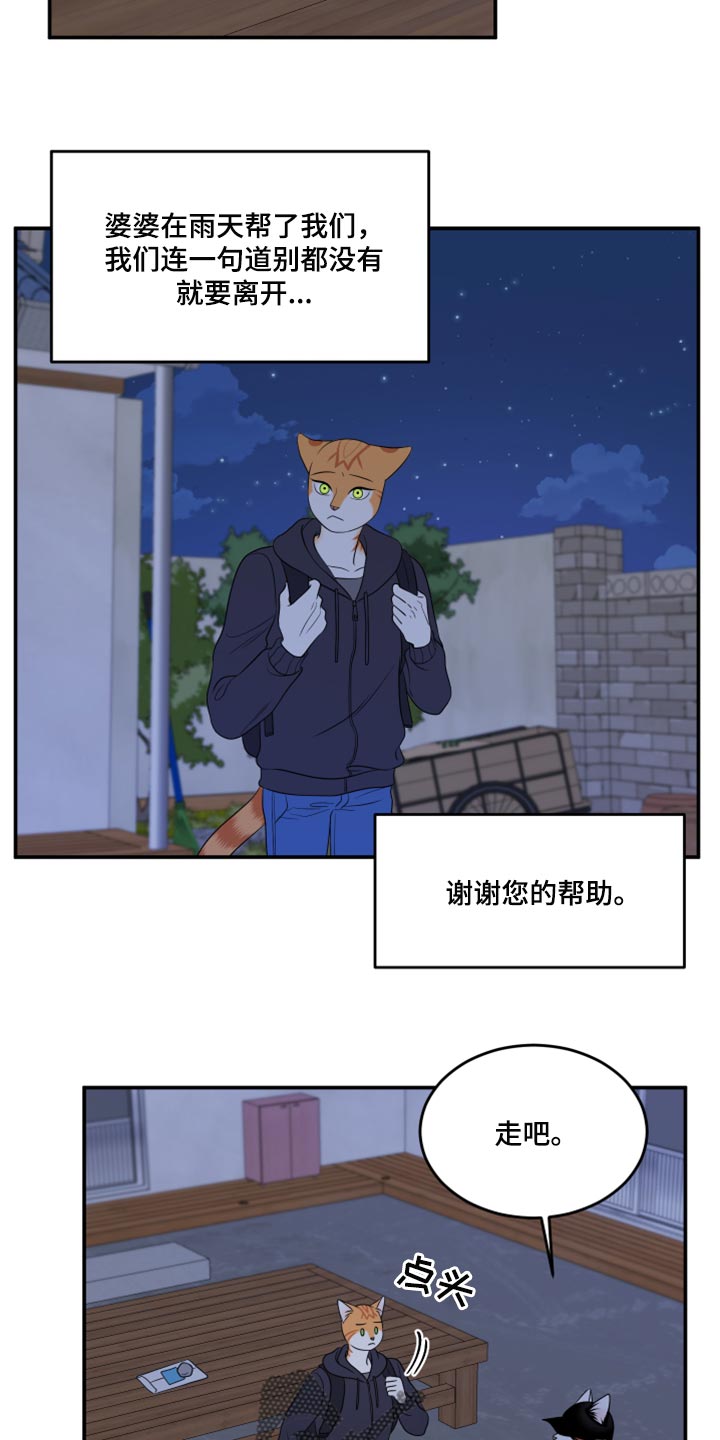 《灵猫欧米伽》漫画最新章节第59章：【第二季】离开免费下拉式在线观看章节第【12】张图片