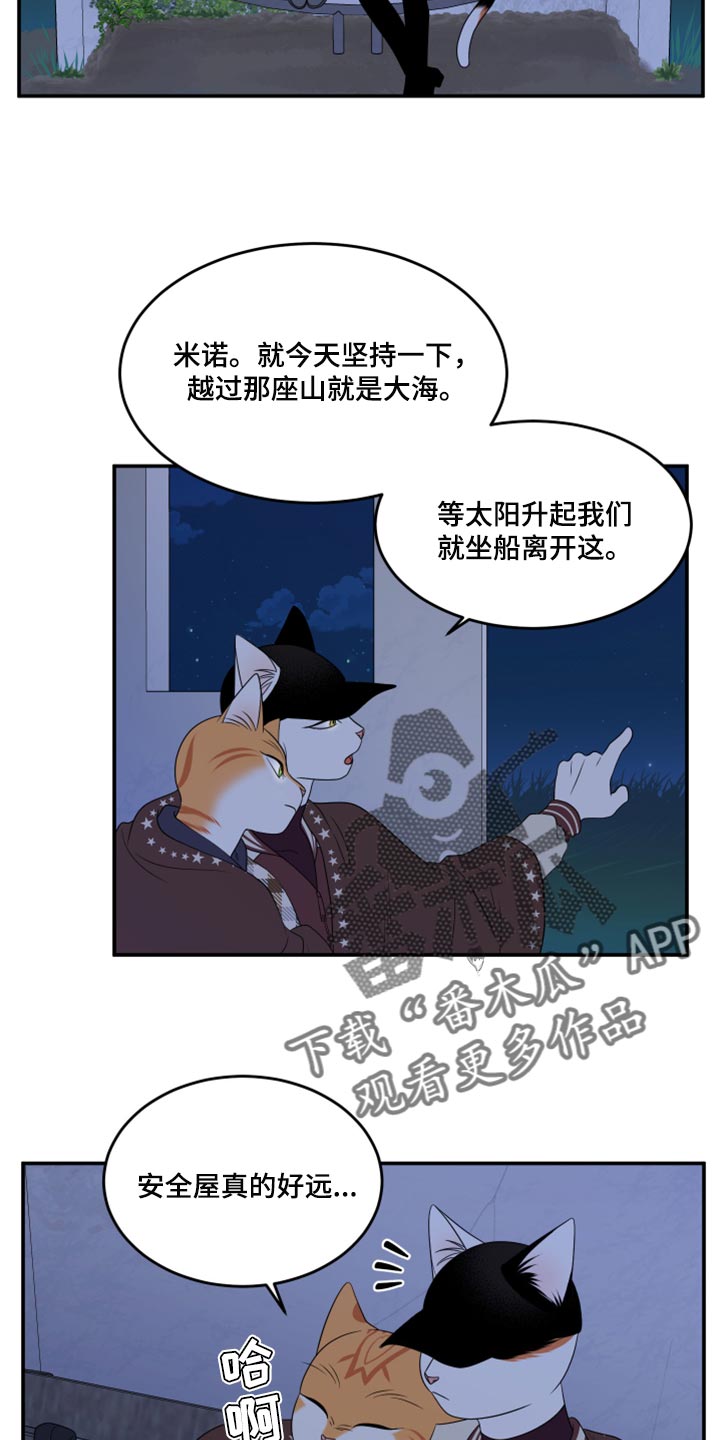 《灵猫欧米伽》漫画最新章节第59章：【第二季】离开免费下拉式在线观看章节第【4】张图片