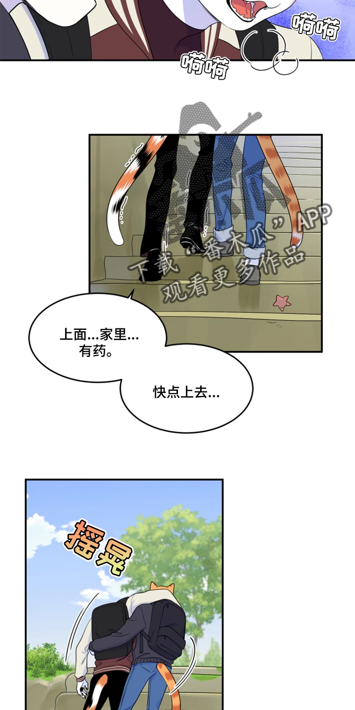 《灵猫欧米伽》漫画最新章节第60章：【第二季】失去理智免费下拉式在线观看章节第【6】张图片