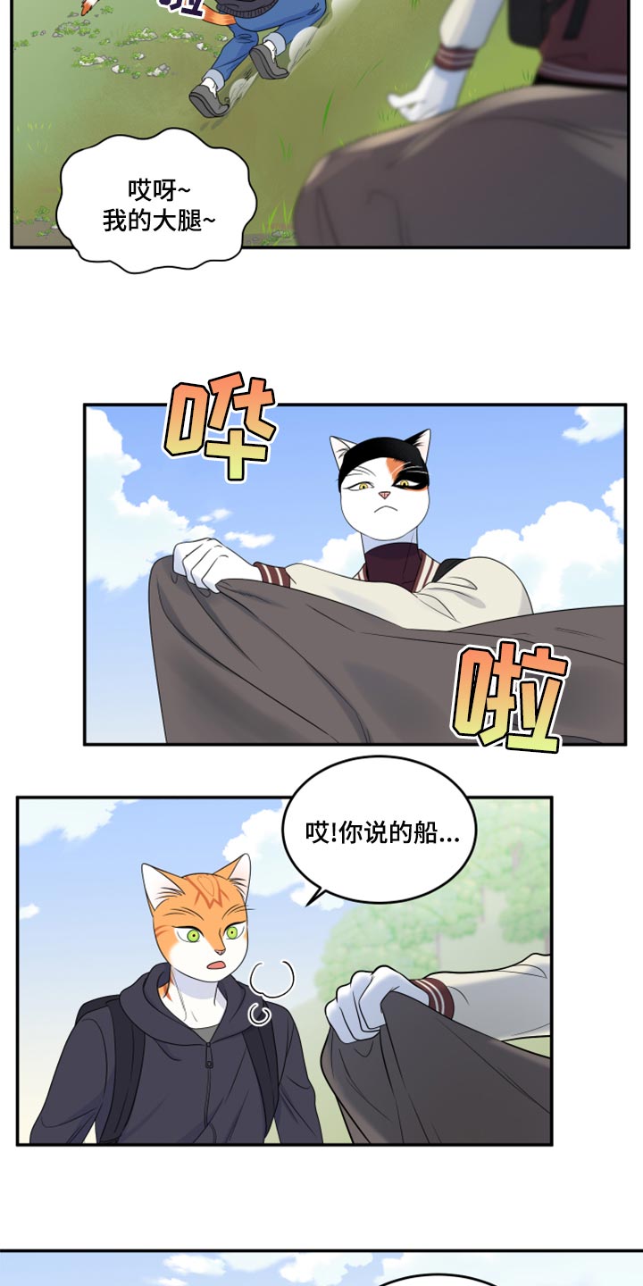 《灵猫欧米伽》漫画最新章节第60章：【第二季】失去理智免费下拉式在线观看章节第【20】张图片