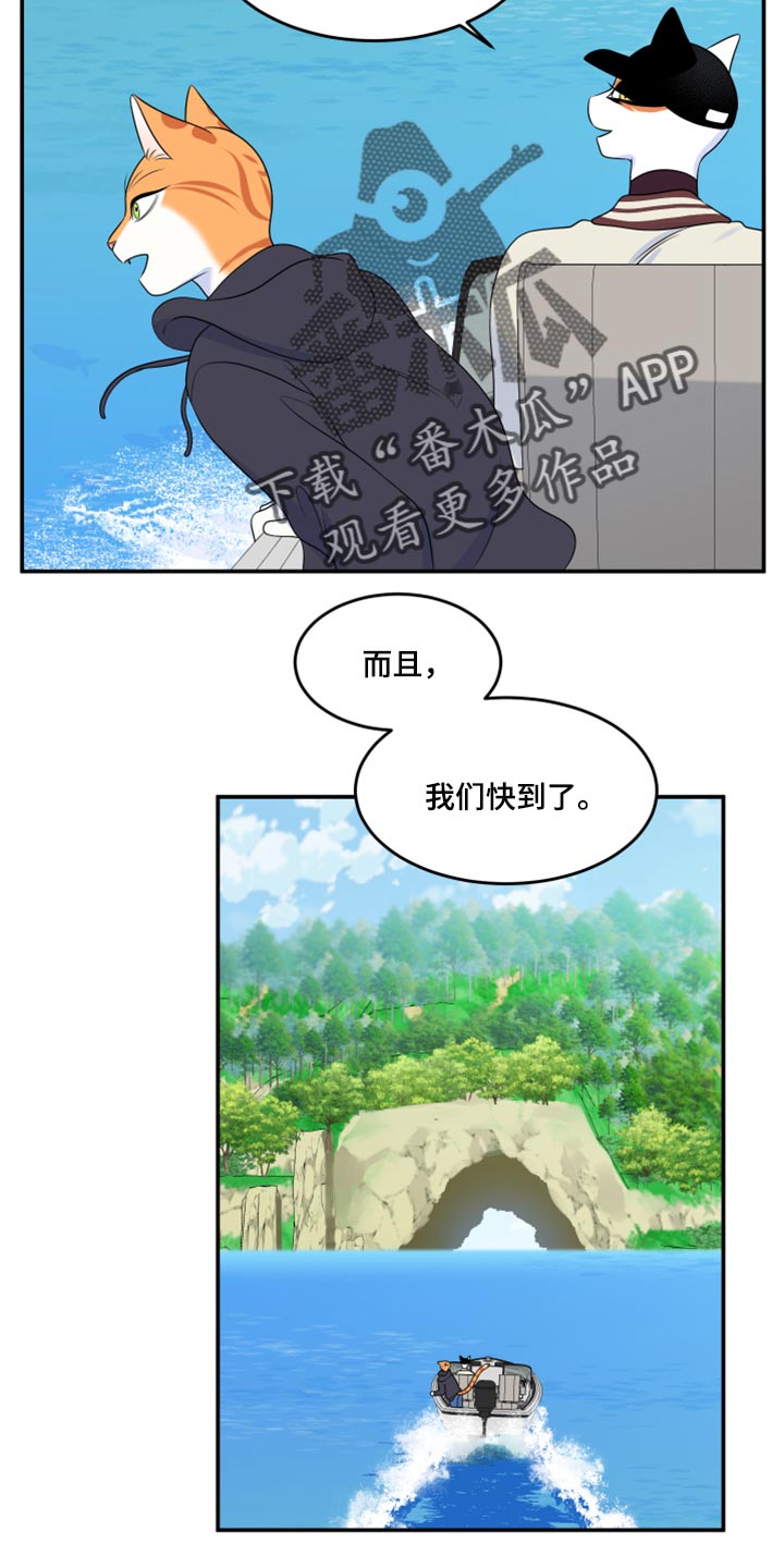 《灵猫欧米伽》漫画最新章节第60章：【第二季】失去理智免费下拉式在线观看章节第【12】张图片