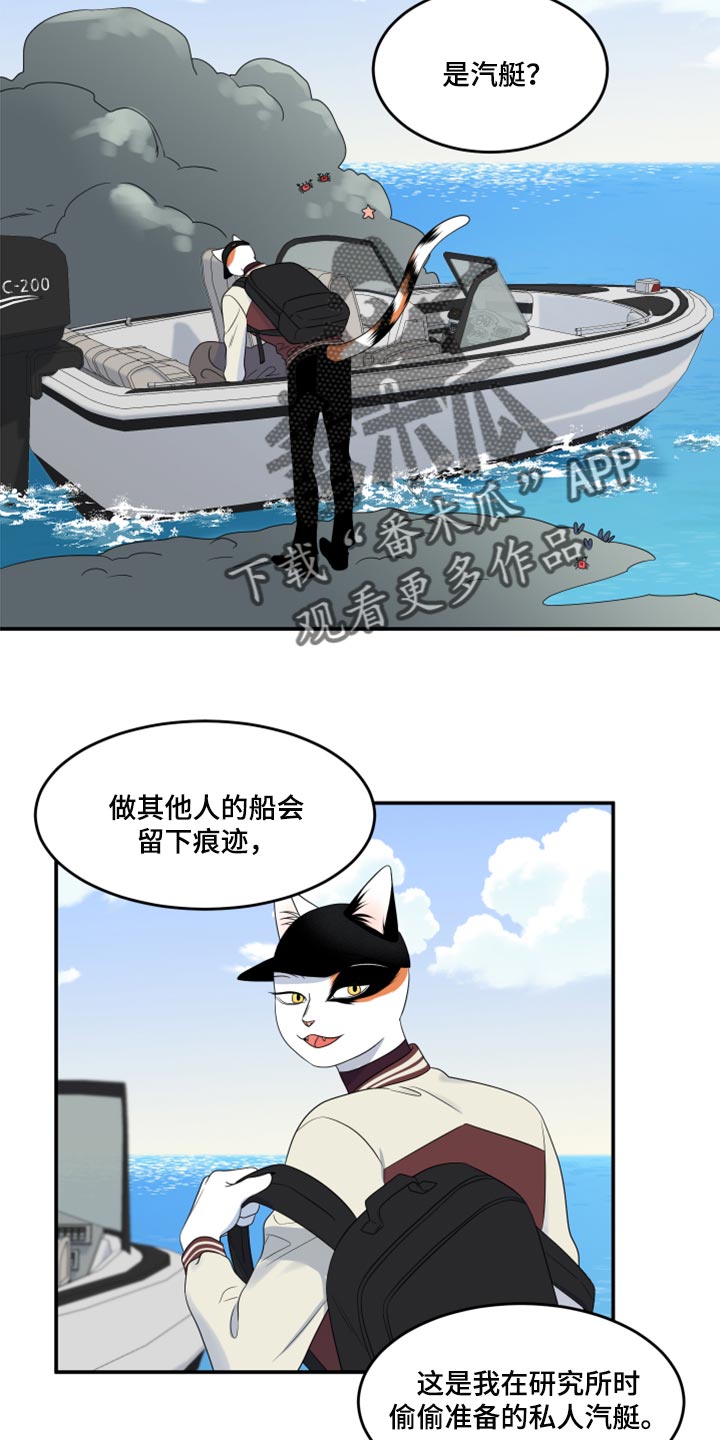 《灵猫欧米伽》漫画最新章节第60章：【第二季】失去理智免费下拉式在线观看章节第【19】张图片