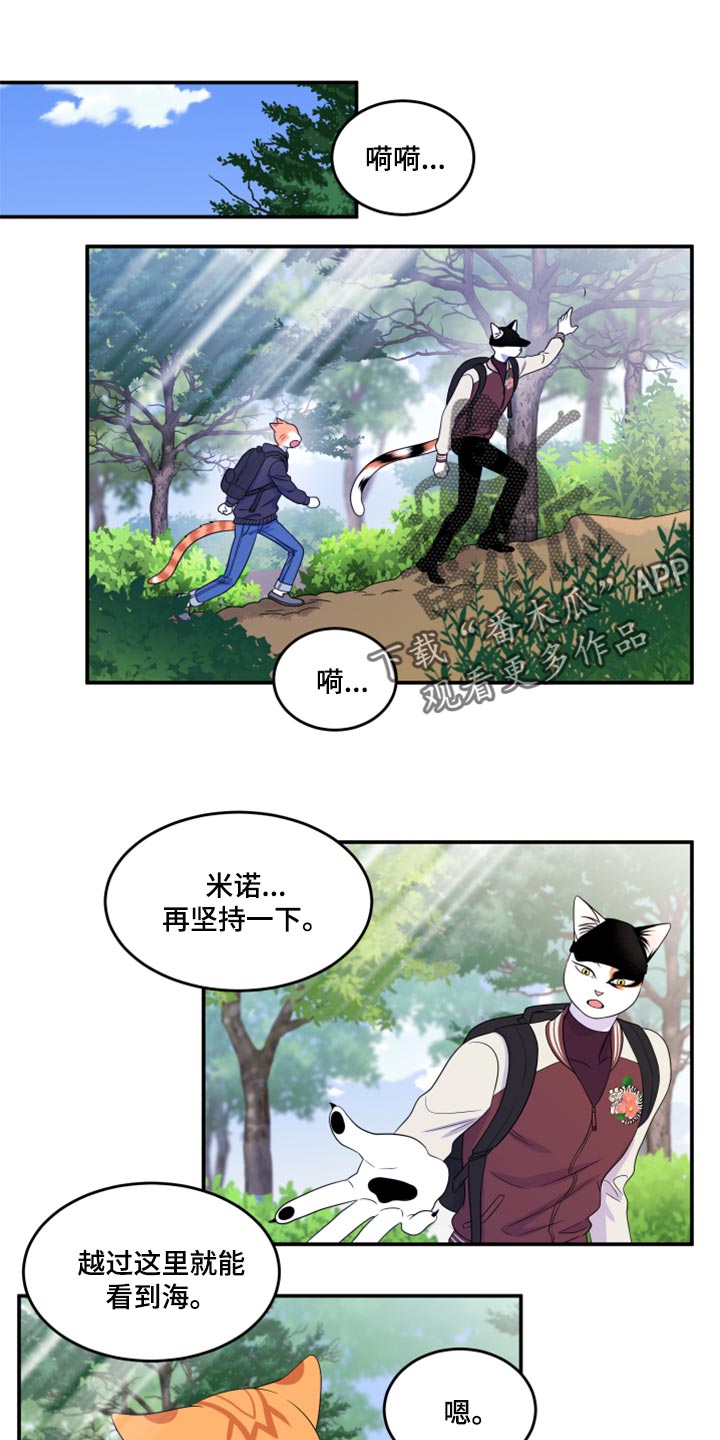 《灵猫欧米伽》漫画最新章节第60章：【第二季】失去理智免费下拉式在线观看章节第【22】张图片