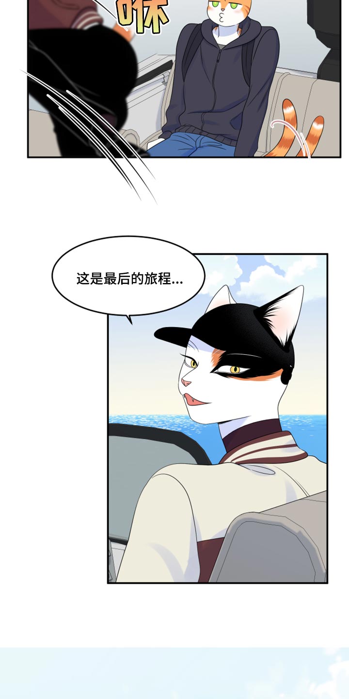 《灵猫欧米伽》漫画最新章节第60章：【第二季】失去理智免费下拉式在线观看章节第【16】张图片