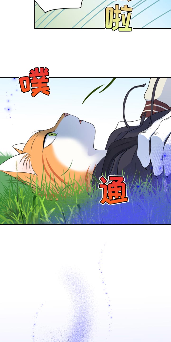 《灵猫欧米伽》漫画最新章节第60章：【第二季】失去理智免费下拉式在线观看章节第【2】张图片