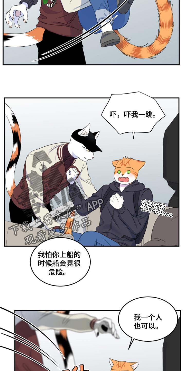 《灵猫欧米伽》漫画最新章节第60章：【第二季】失去理智免费下拉式在线观看章节第【17】张图片