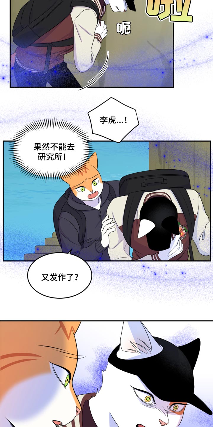 《灵猫欧米伽》漫画最新章节第60章：【第二季】失去理智免费下拉式在线观看章节第【7】张图片