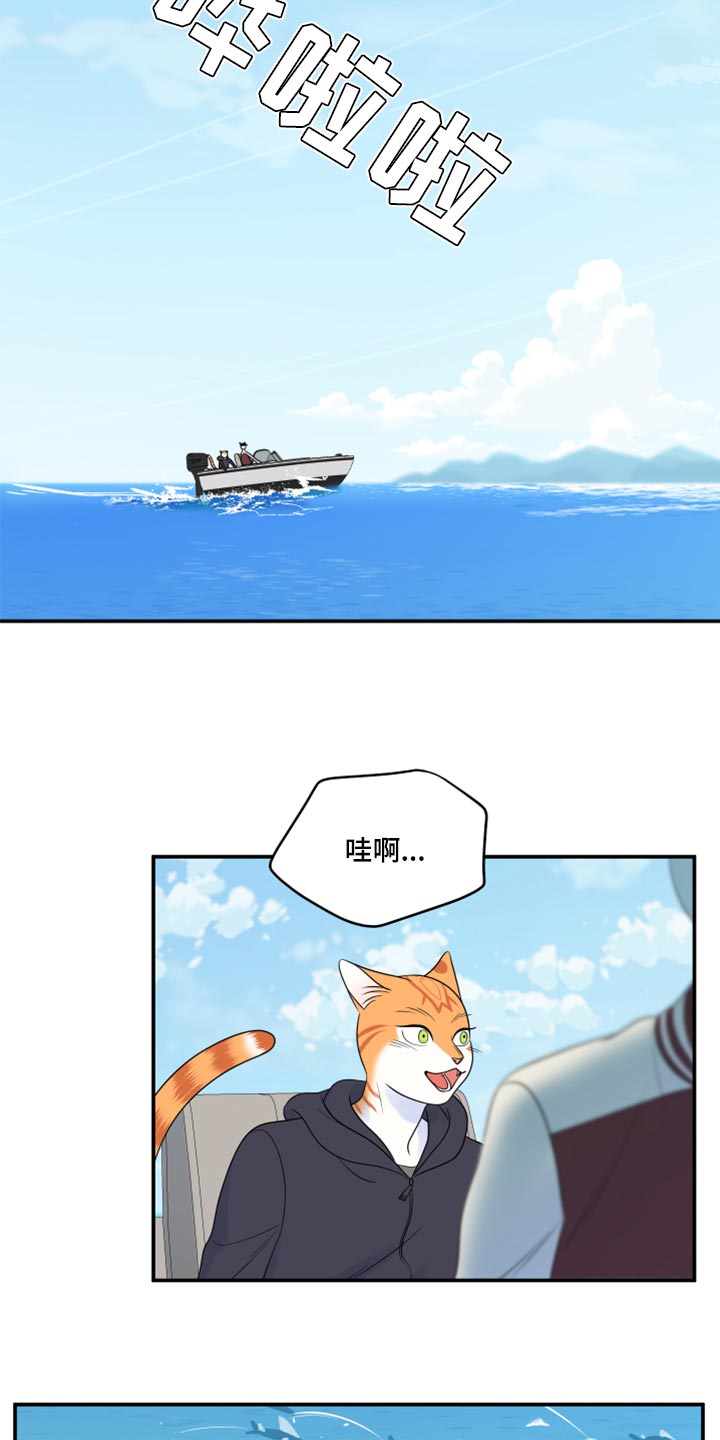 《灵猫欧米伽》漫画最新章节第60章：【第二季】失去理智免费下拉式在线观看章节第【14】张图片