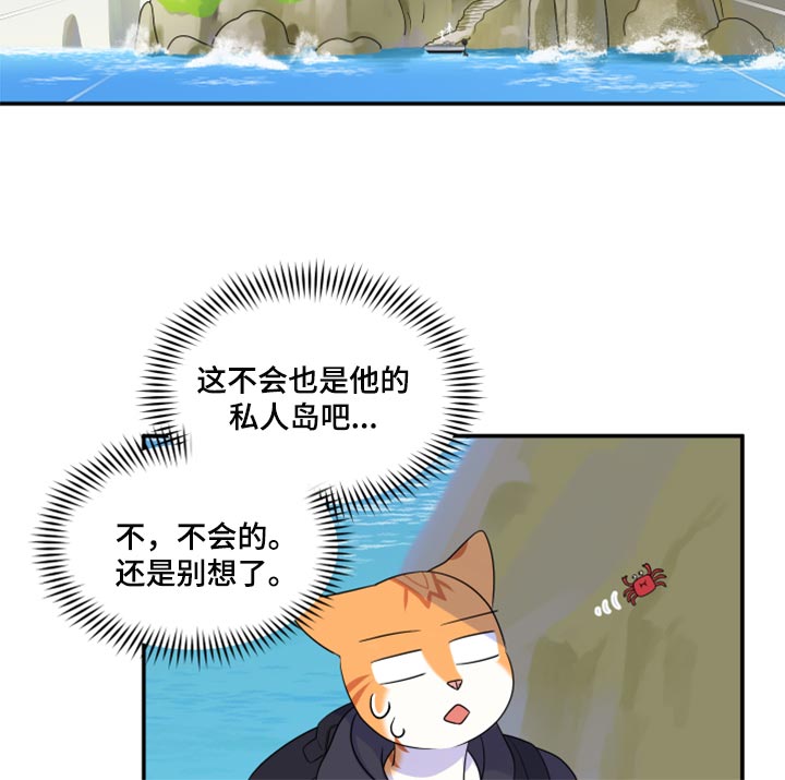 《灵猫欧米伽》漫画最新章节第60章：【第二季】失去理智免费下拉式在线观看章节第【9】张图片