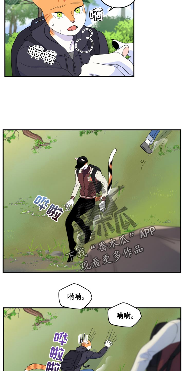 《灵猫欧米伽》漫画最新章节第60章：【第二季】失去理智免费下拉式在线观看章节第【21】张图片