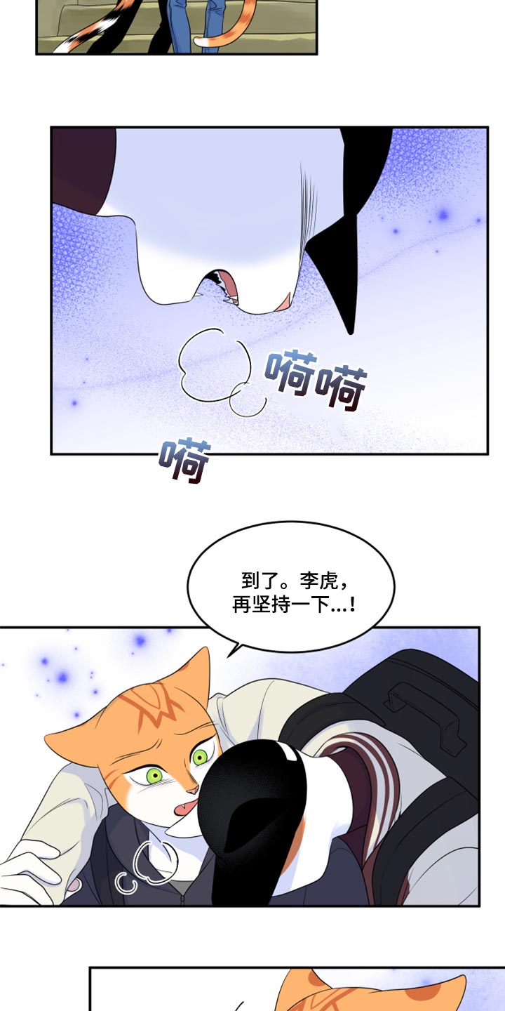 《灵猫欧米伽》漫画最新章节第60章：【第二季】失去理智免费下拉式在线观看章节第【5】张图片