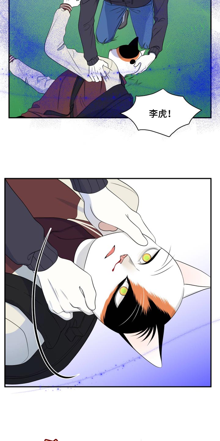 《灵猫欧米伽》漫画最新章节第62章：【第二季】撑过这一次就行免费下拉式在线观看章节第【15】张图片