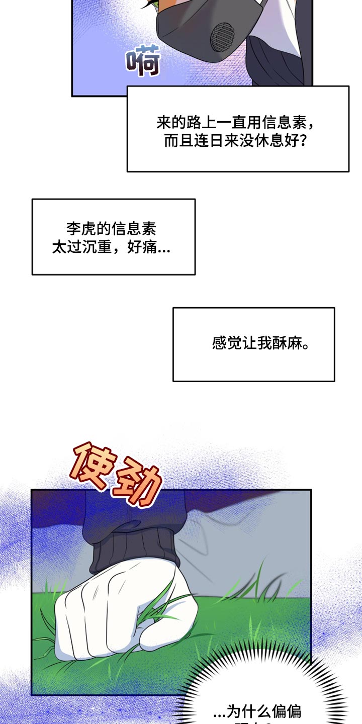 《灵猫欧米伽》漫画最新章节第62章：【第二季】撑过这一次就行免费下拉式在线观看章节第【10】张图片