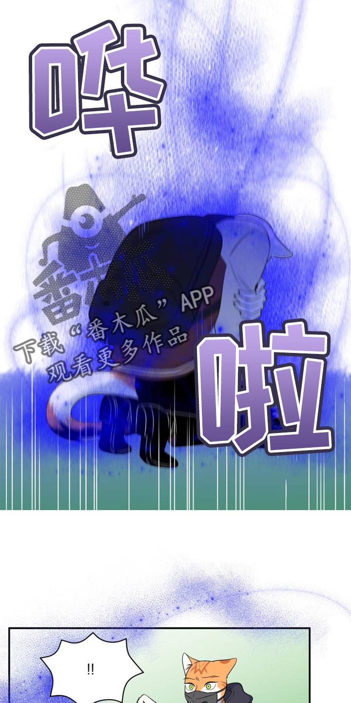 《灵猫欧米伽》漫画最新章节第62章：【第二季】撑过这一次就行免费下拉式在线观看章节第【20】张图片