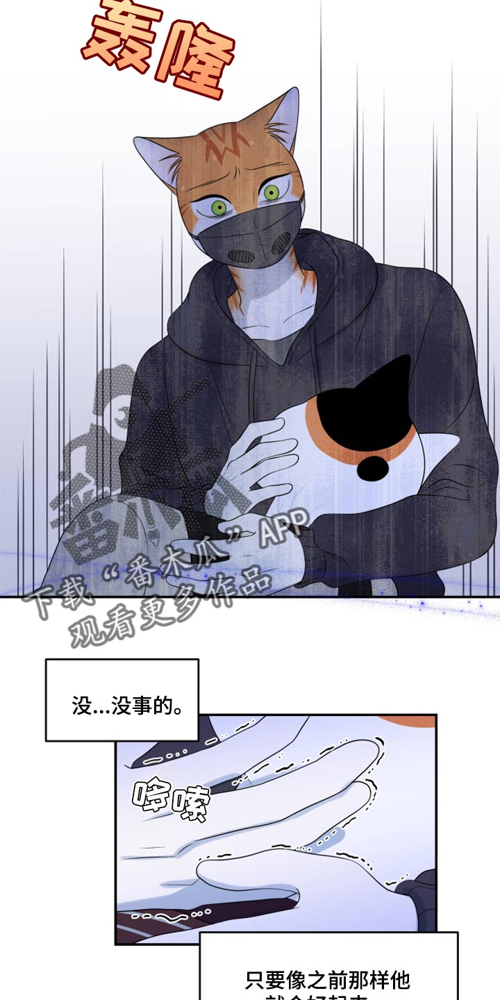 《灵猫欧米伽》漫画最新章节第62章：【第二季】撑过这一次就行免费下拉式在线观看章节第【14】张图片