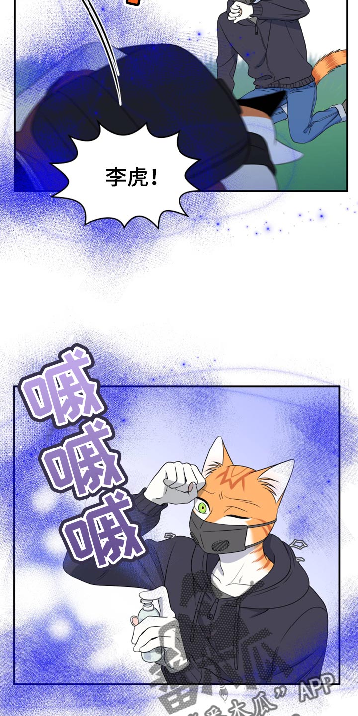 《灵猫欧米伽》漫画最新章节第62章：【第二季】撑过这一次就行免费下拉式在线观看章节第【17】张图片