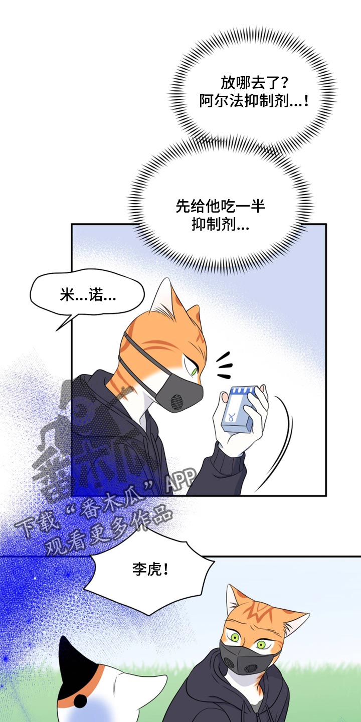 《灵猫欧米伽》漫画最新章节第62章：【第二季】撑过这一次就行免费下拉式在线观看章节第【25】张图片