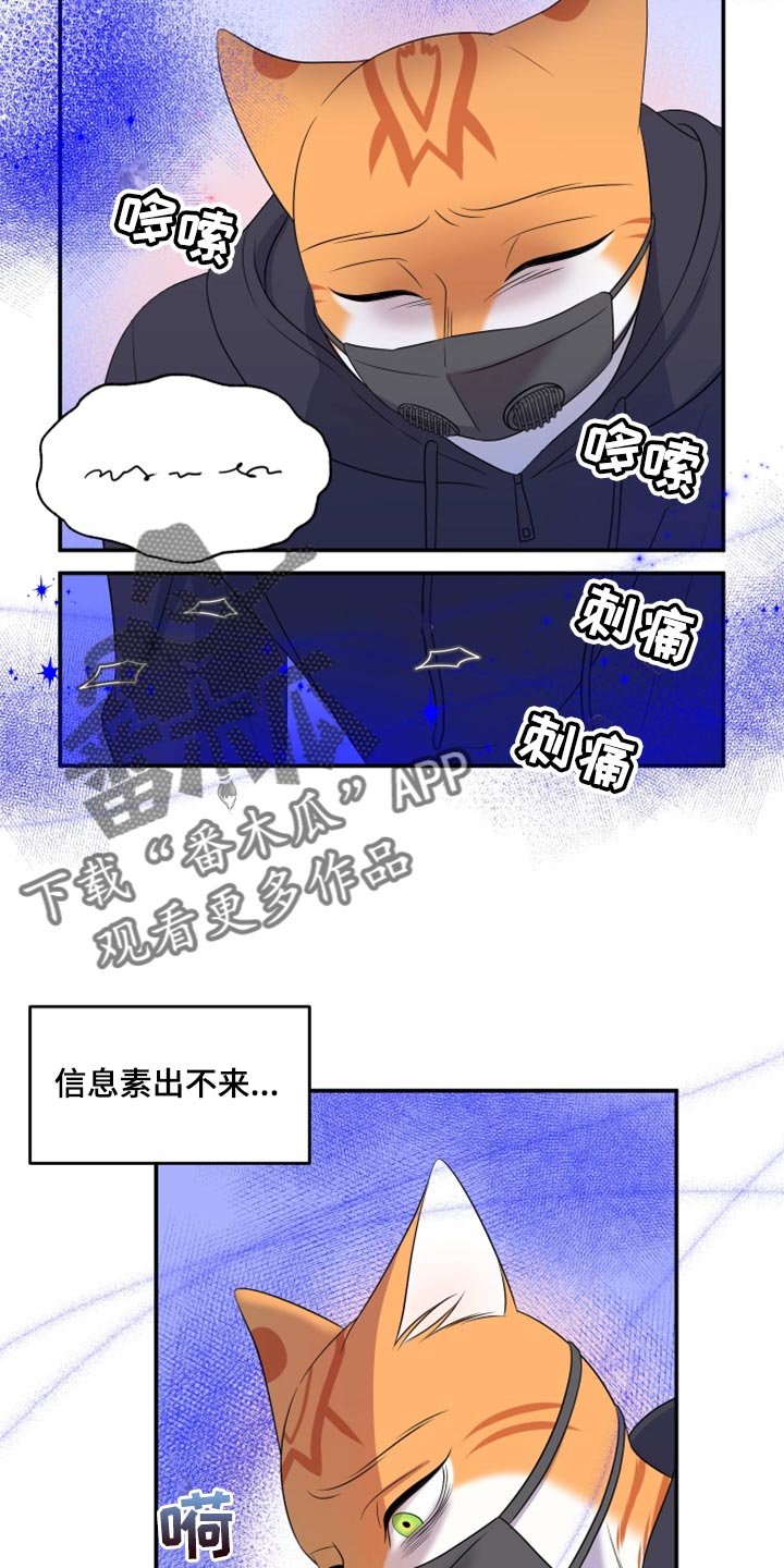 《灵猫欧米伽》漫画最新章节第62章：【第二季】撑过这一次就行免费下拉式在线观看章节第【11】张图片