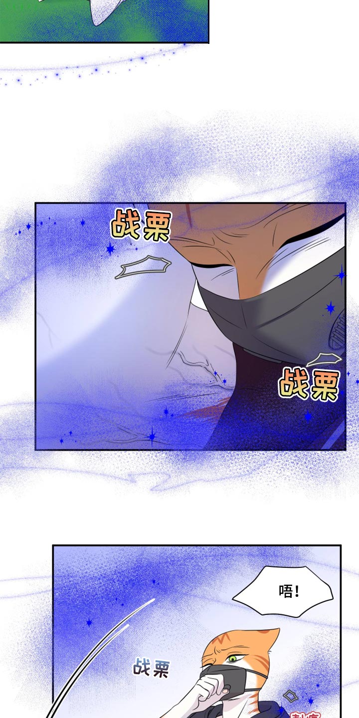 《灵猫欧米伽》漫画最新章节第62章：【第二季】撑过这一次就行免费下拉式在线观看章节第【4】张图片