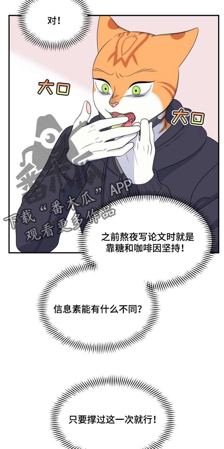 《灵猫欧米伽》漫画最新章节第62章：【第二季】撑过这一次就行免费下拉式在线观看章节第【6】张图片