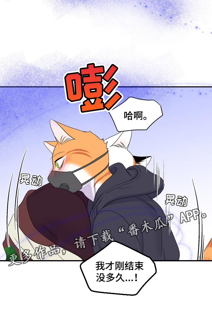 《灵猫欧米伽》漫画最新章节第63章：【第二季】眼睛还是没变免费下拉式在线观看章节第【1】张图片