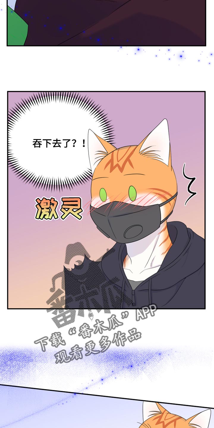 《灵猫欧米伽》漫画最新章节第63章：【第二季】眼睛还是没变免费下拉式在线观看章节第【7】张图片