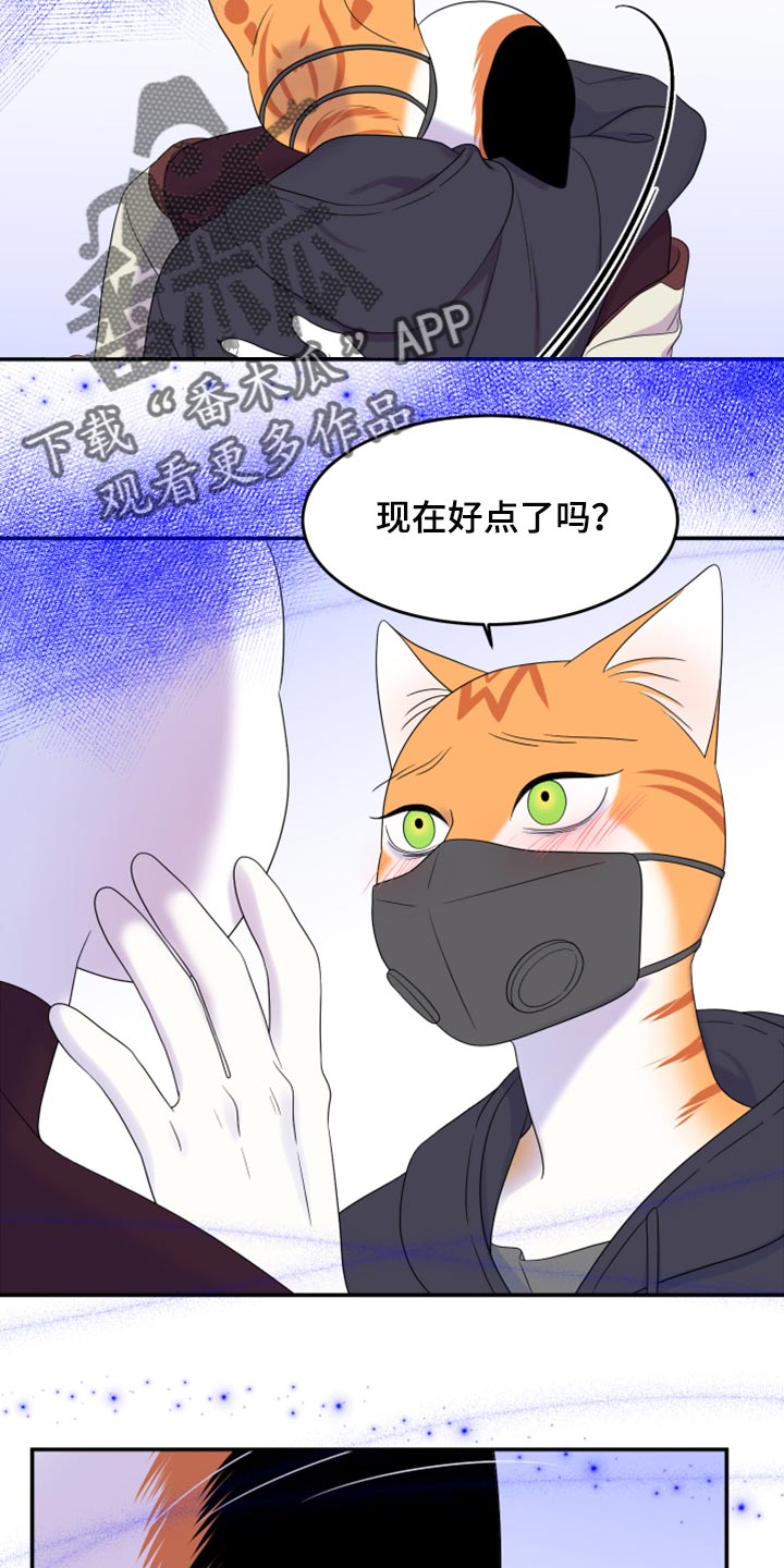 《灵猫欧米伽》漫画最新章节第63章：【第二季】眼睛还是没变免费下拉式在线观看章节第【4】张图片