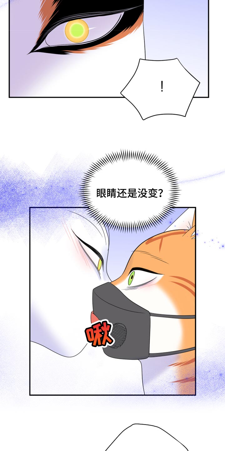 《灵猫欧米伽》漫画最新章节第63章：【第二季】眼睛还是没变免费下拉式在线观看章节第【3】张图片