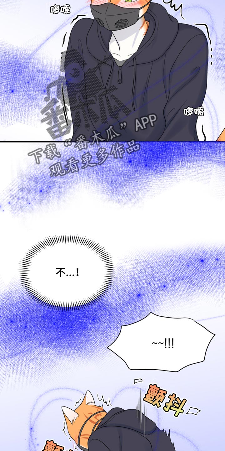 《灵猫欧米伽》漫画最新章节第63章：【第二季】眼睛还是没变免费下拉式在线观看章节第【14】张图片